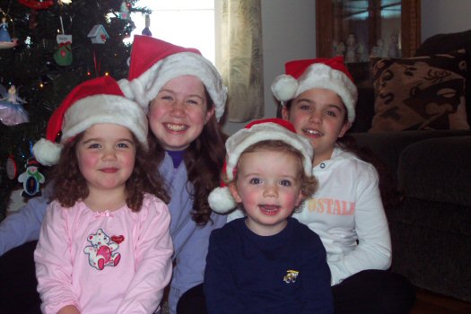 2006 christmas bear